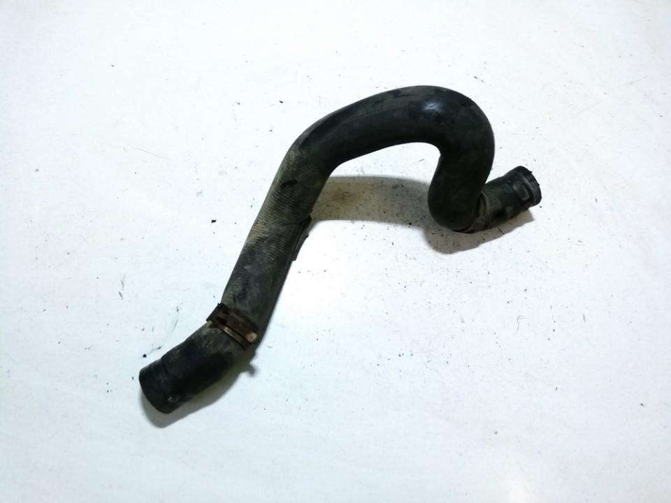 Renault Scenic 1998 Ūdens šļūtene