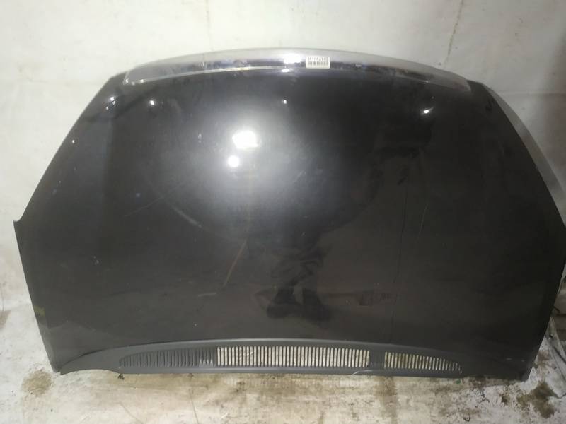 PILKAS Ford C-MAX 2008 Hood