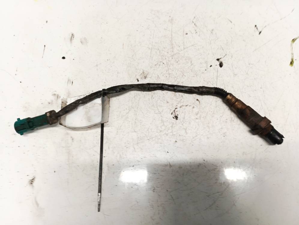 Ford Focus 2008 Lambda zonde, 4 vadi: balts, balts, melns, pelēks