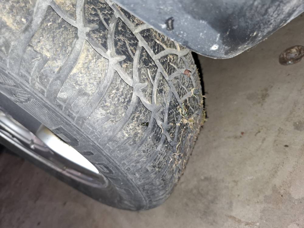 195/65R15 Audi A3 2001 Колеса R15