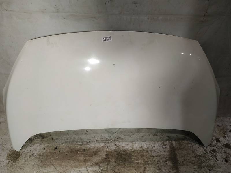 BALTAS Ford KA 2010 Hood