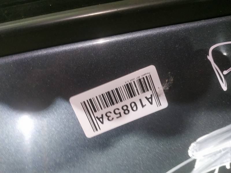 PILKOS Peugeot 407 2005 Doors - FRONT LEFT - Thumbnail 3