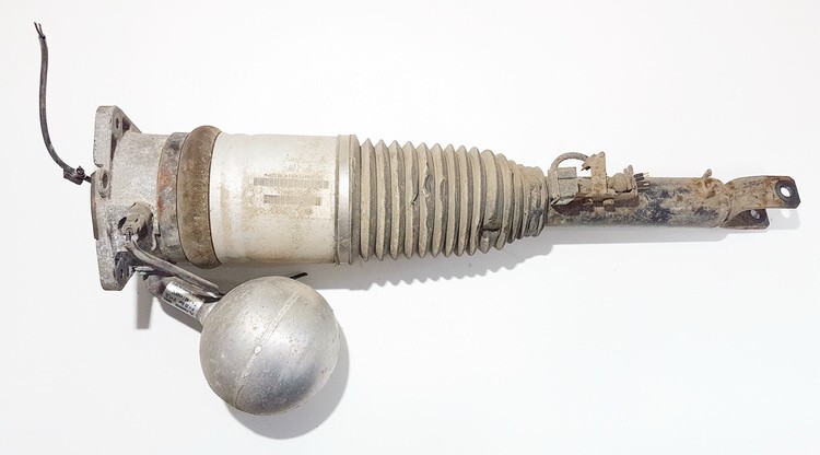 3D0616001F Volkswagen Phaeton 2003 Shock Absorber - Suspension Strut Assembly - REAR LEFT