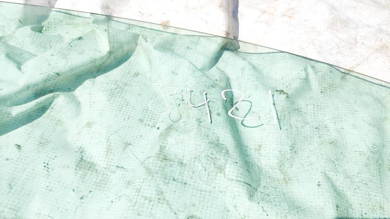 AS2 Volkswagen Golf 2005 Door-Drop Glass - FRONT RIGHT - Thumbnail 2