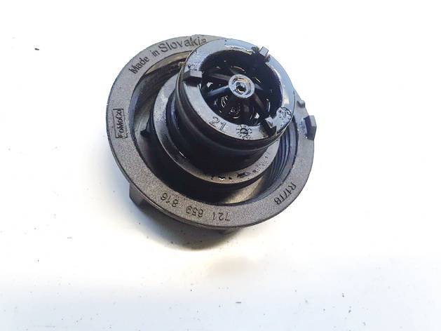 721659816 Ford Kuga 2025 Dangtelis vandens radiatoriaus (dangtelis issipletimo bakelio) - Thumbnail 3