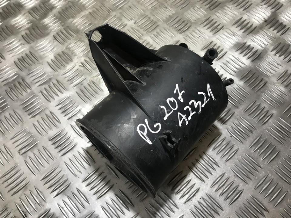 030795 Peugeot 207 2012 Anglies filtras (garu surinkimo)