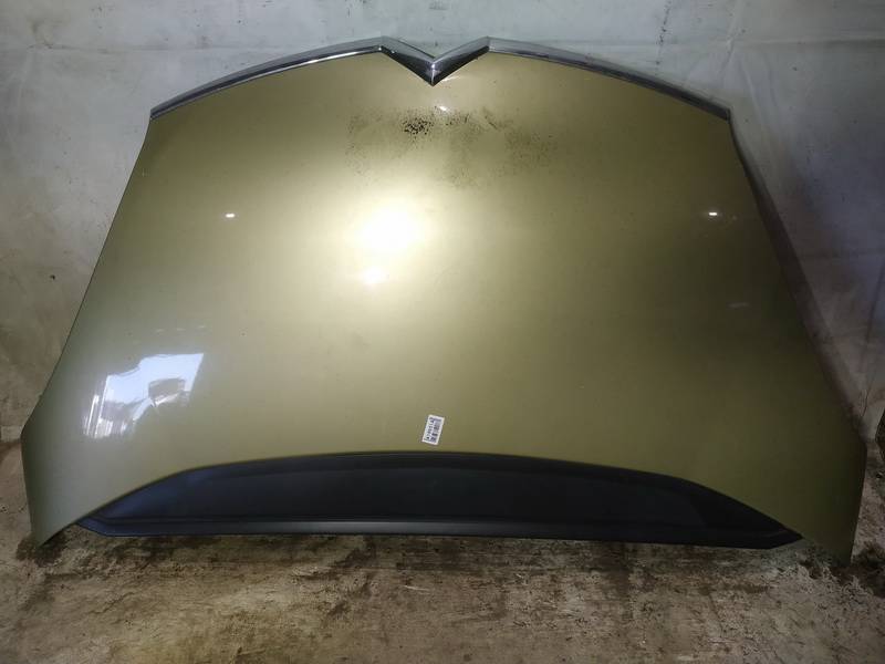 GELTONAS Citroen C4 Picasso 2007 Motora pārsegi - Thumbnail 2