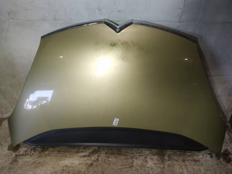 GELTONAS Citroen C4 Picasso 2007 Motora pārsegi