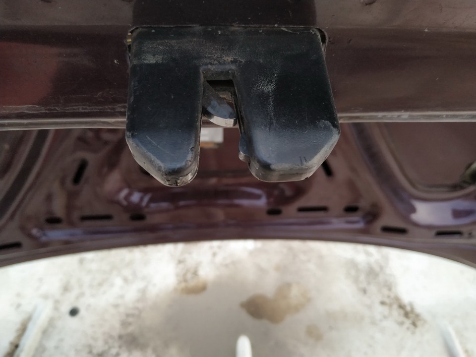 Audi 100 1991 Galinio Dangcio spyna G. (kapoto)