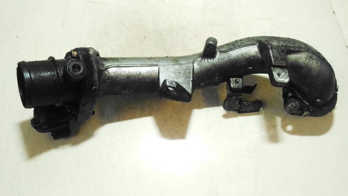 8200266762 Nissan Primera 2003 Interkulerio zarna -  slanga