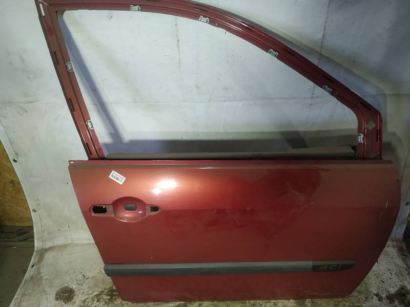 RAUDONOS Renault Scenic 2004 porte avant droite