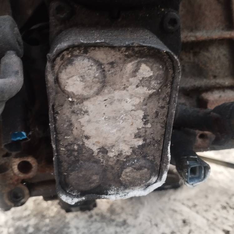 Volvo V50 2005 Chłodnica oleju