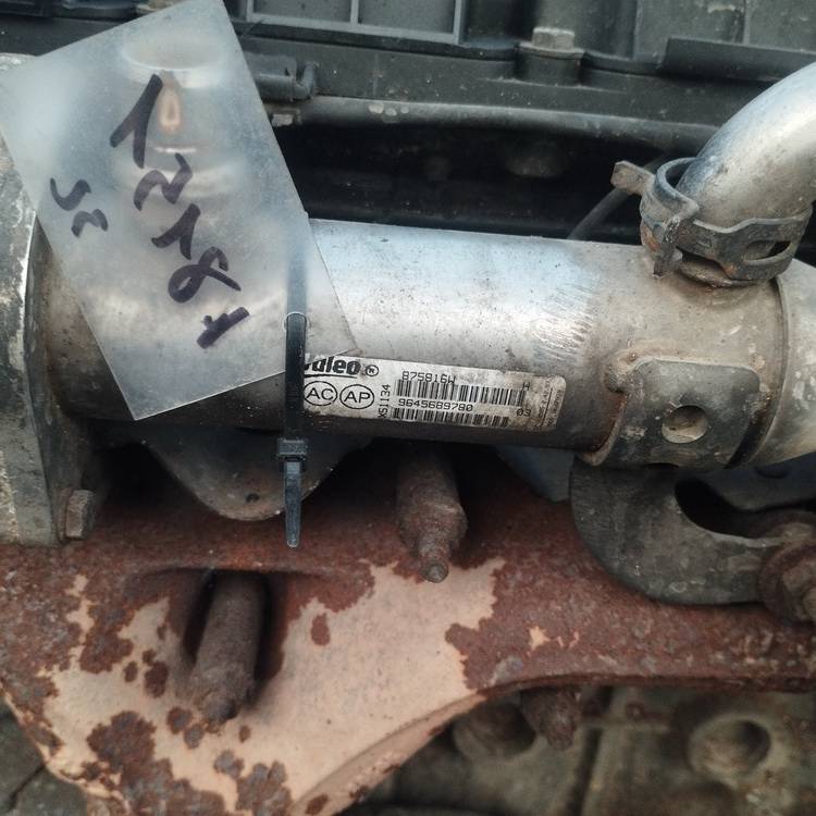 9645689780 Volvo V50 2005 Chłodnica EGR (chłodnica spalin EGR)