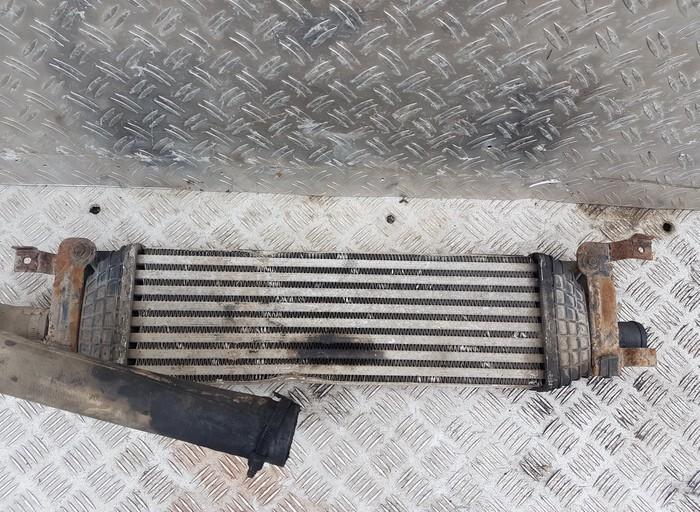 Ford Fusion 2005 Interkulerio radiatorius