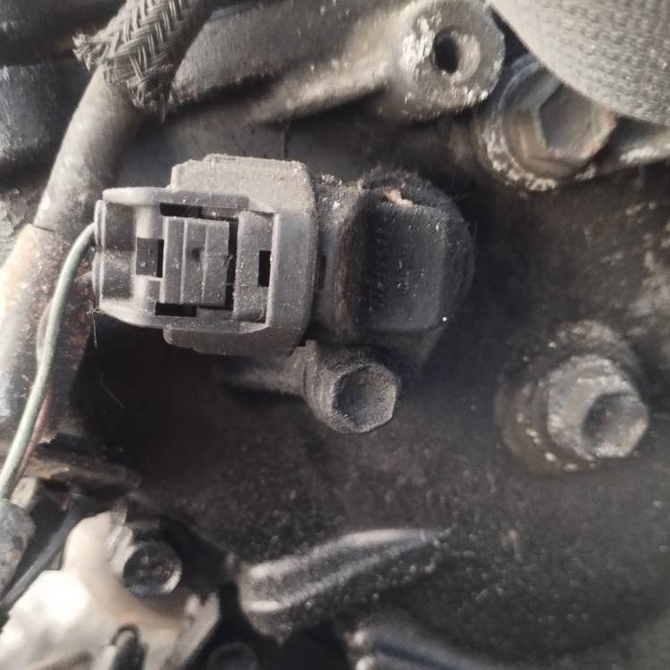 Toyota RAV-4 2006 Virsutinis holo daviklis