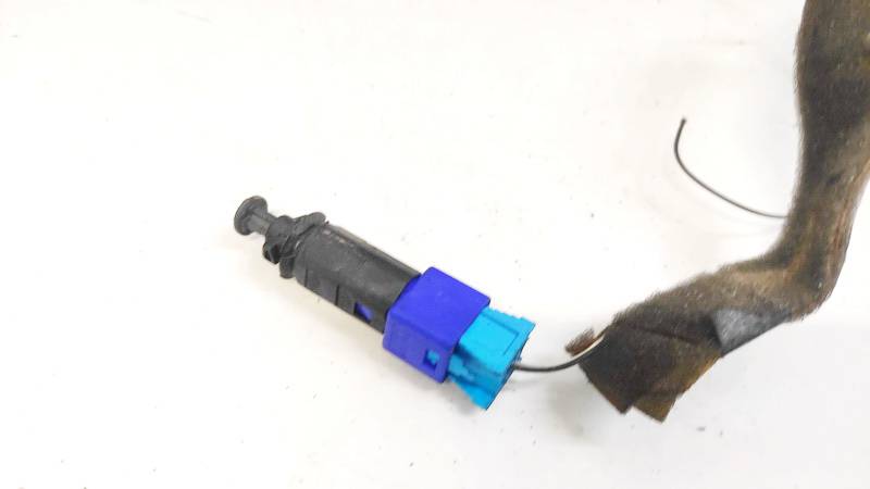 110895 Renault Laguna 2003 Stabdziu zibintu daviklis (rele-varlyte) - Thumbnail 3