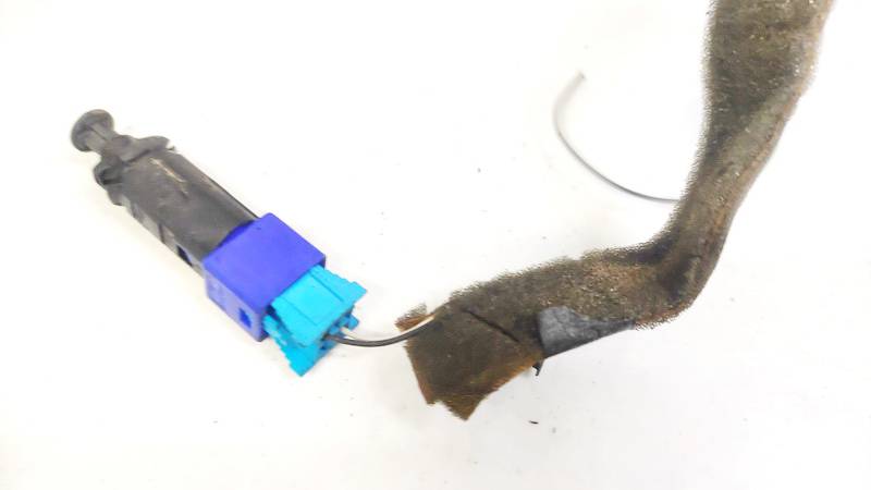 110895 Renault Laguna 2003 Stabdziu zibintu daviklis (rele-varlyte) - Thumbnail 2