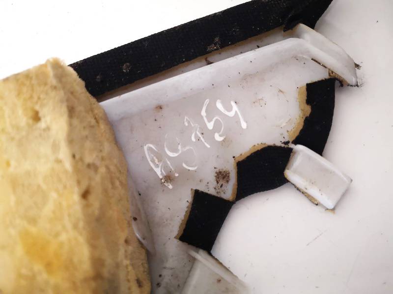 Mercedes-Benz S-CLASS 2006 Innenausstattung - Thumbnail 3