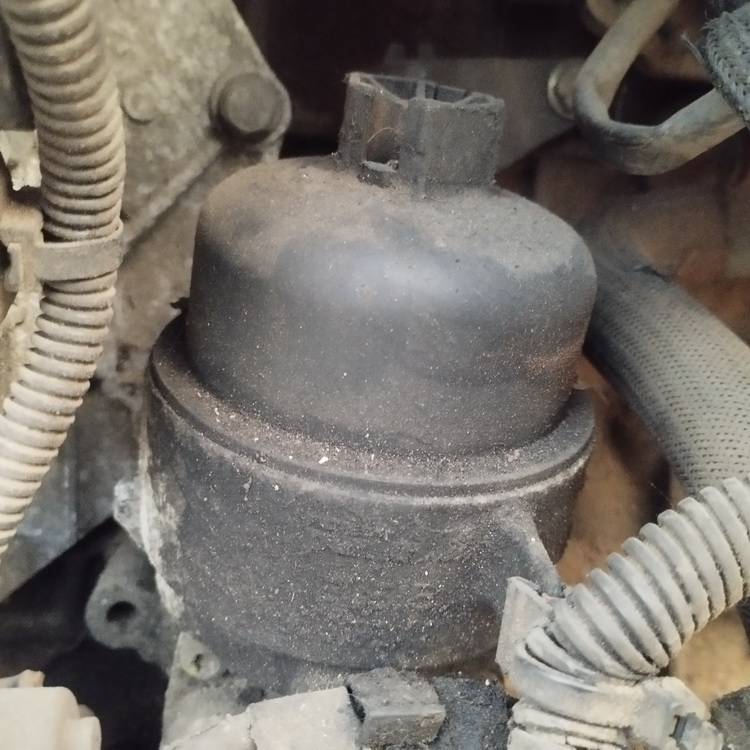 Peugeot 407 2004 Obudowa filtra oleju