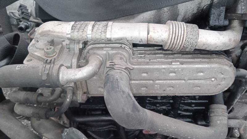 038131513AD Volkswagen Touran 2004 Chłodnica EGR (chłodnica spalin EGR)