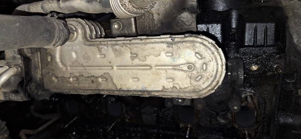 038131513AD Volkswagen Passat 2006 Chłodnica EGR (chłodnica spalin EGR)