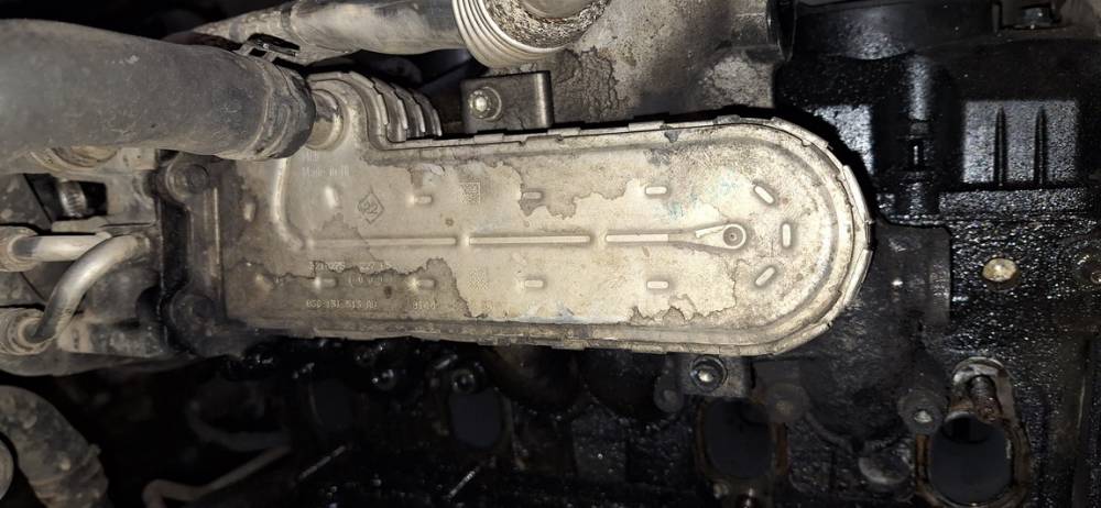 038131513AD Volkswagen Passat 2006 Chłodnica EGR (chłodnica spalin EGR) - Thumbnail 2