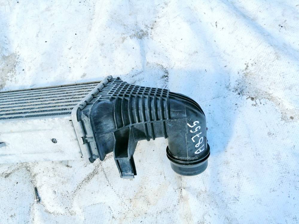 A2045000200 Mercedes-Benz E-CLASS 2013 Interkulerio radiatorius - Thumbnail 2