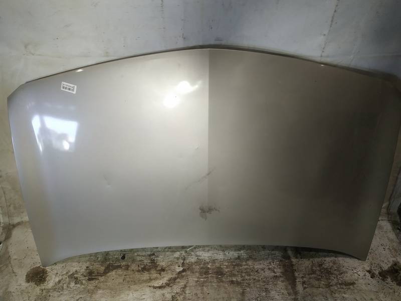 RUDAS Renault Megane 2004 Hood