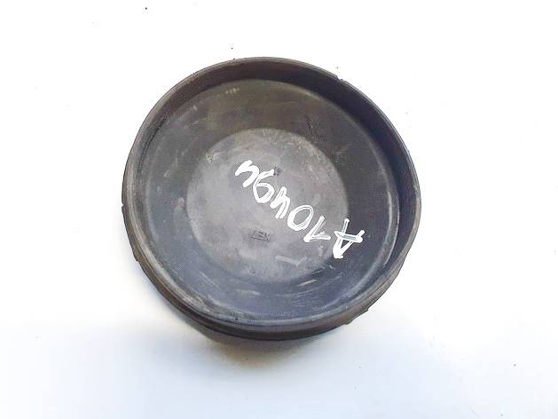 15566500 Nissan Primera 2003 Zibinto lemputes dulkiu dangtelis P. - Thumbnail 2