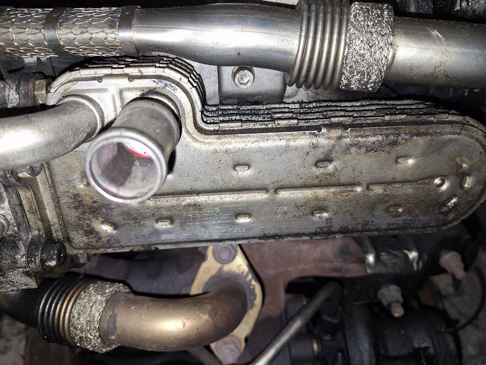 038131513AD Volkswagen Passat 2005 Chłodnica EGR (chłodnica spalin EGR) - Thumbnail 2