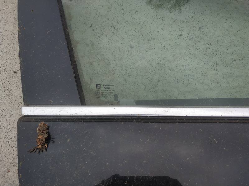 Opel Insignia 2013 Glass Trim Molding-weatherstripping - FRONT RIGHT - Thumbnail 2