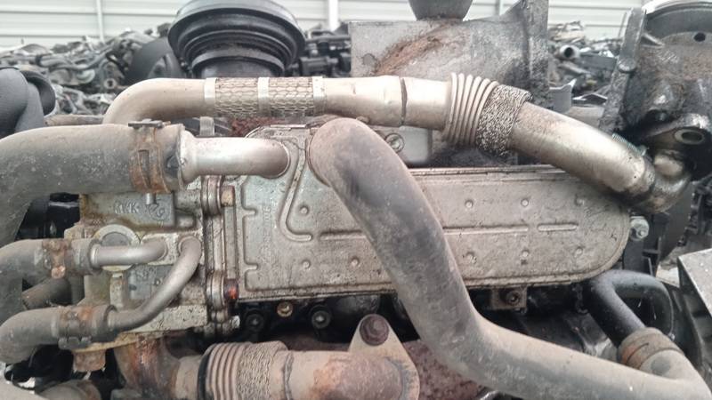 038131513AD Volkswagen Touran 2004 EGR Cooler (exhaust gas cooler) - Thumbnail 2