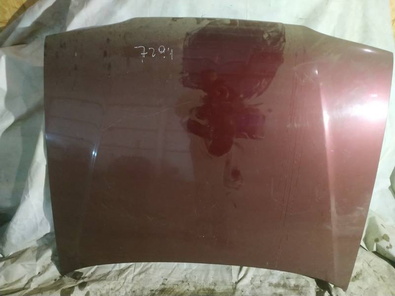 RAUDONAS Renault 19 1995 Konepelti (Moottorin kansi)