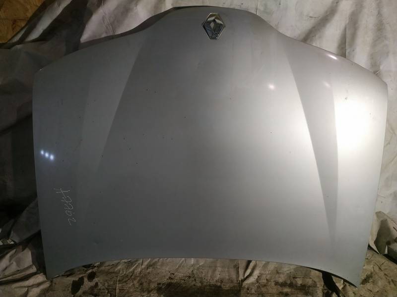 PILKAS Renault Laguna 2001 Hood
