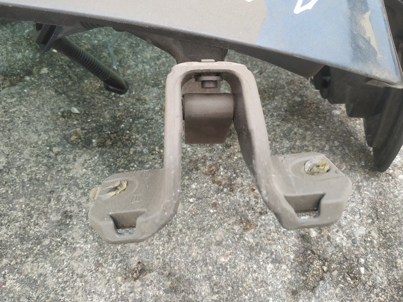 Renault Vel Satis 2003 Galinio Dangcio vyris G.K. (kapoto) - Thumbnail 2