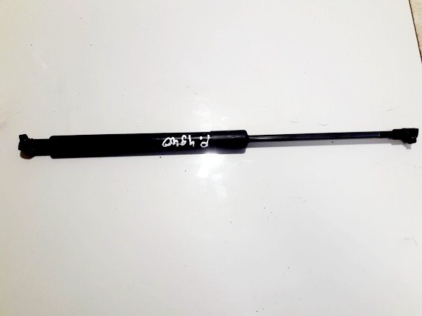 51237060550 BMW 3-Series 2006 Hood Support (strut hood) - FRONT