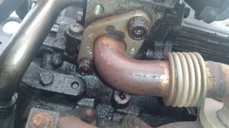 03G131521T Volkswagen Passat 2006 EGR voztuvo vamzdelis - Thumbnail 3