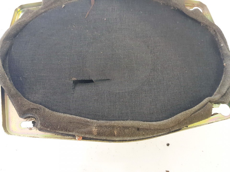 113510011 Chrysler Voyager 2001 Auto skaļrunis