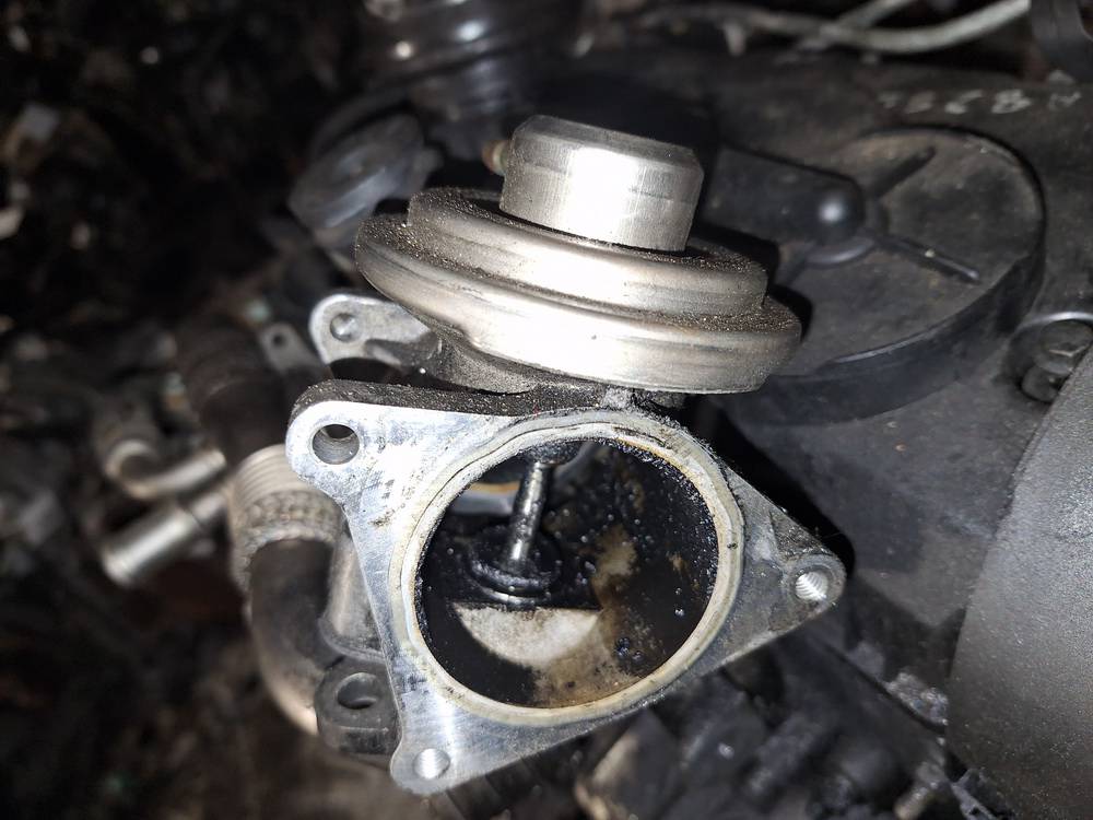 038131501AF Volkswagen Passat 2005 EGR Valve Exhaust Gas