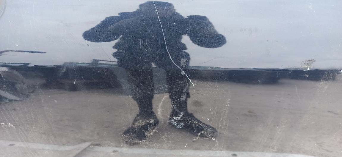 MELYNA Audi TT 2004 Doors - FRONT LEFT - Thumbnail 2