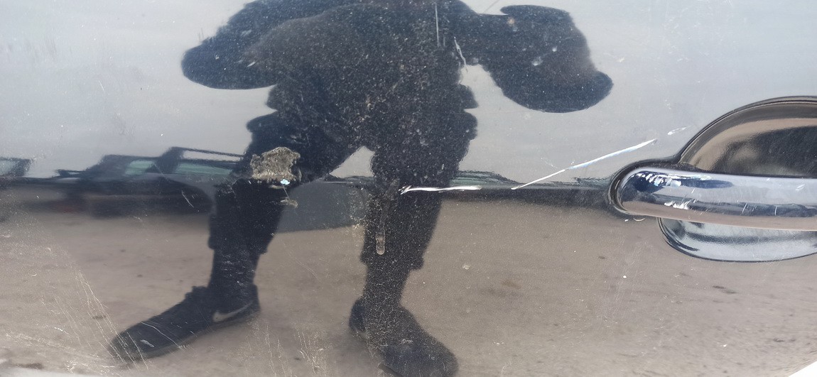 MELYNA Audi TT 2004 Doors - FRONT LEFT - Thumbnail 3