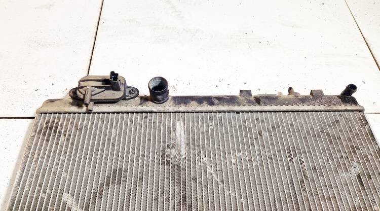 Citroen C4 Grand Picasso 2007 Radiator-Water Cooler - Thumbnail 3