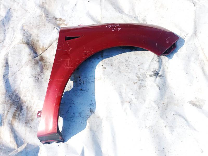 Renault Scenic 2007 Fender (Arch) - FRONT RIGHT