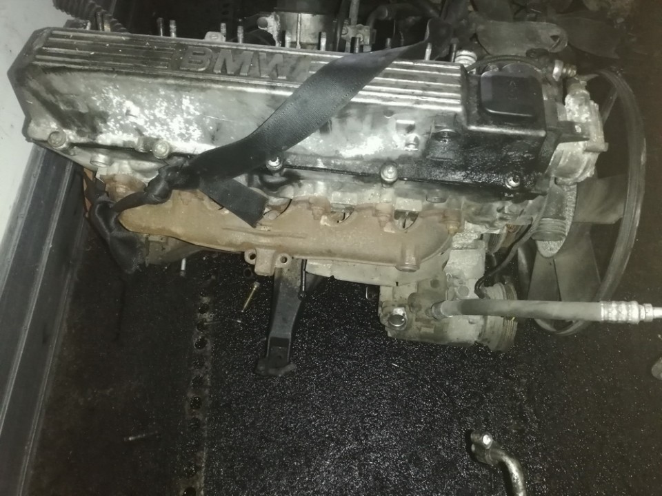 256T1 BMW 5-Series 1996 Variklis