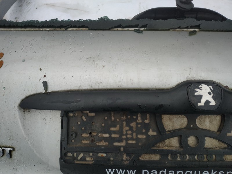 Peugeot 206 2001 Zewnętrzne wykończenie tylnej klapy (oświetlenie tablicy rejestracyjnej) - TYLNE - Thumbnail 2