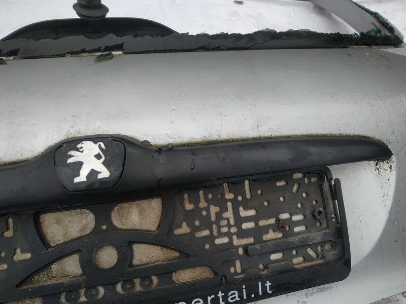 Peugeot 206 2001 Zewnętrzne wykończenie tylnej klapy (oświetlenie tablicy rejestracyjnej) - TYLNE - Thumbnail 3