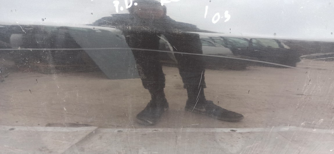 JUODA Renault Laguna 2003 porte avant droite - Thumbnail 2