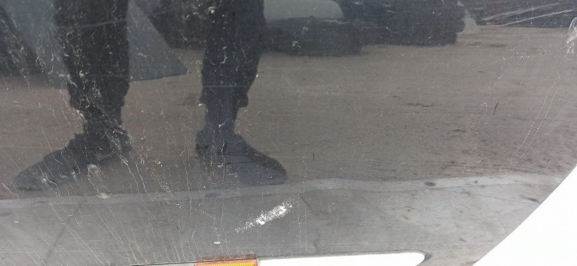 JUODA Renault Laguna 2003 porte avant droite - Thumbnail 3