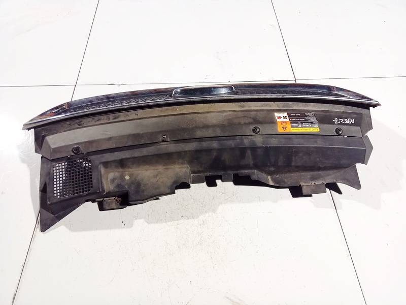 3M51R8138 Ford C-MAX 2004 Hood grille - FRONT