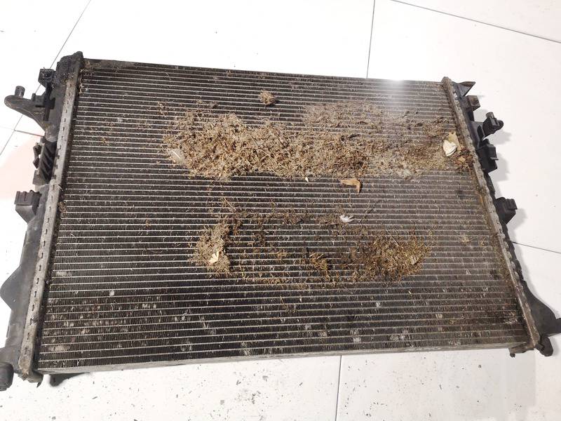 82G0433512 Renault Espace 2009 Radiator-Water Cooler